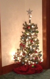 Excuse the blurry picture. I still love my little tree! :)